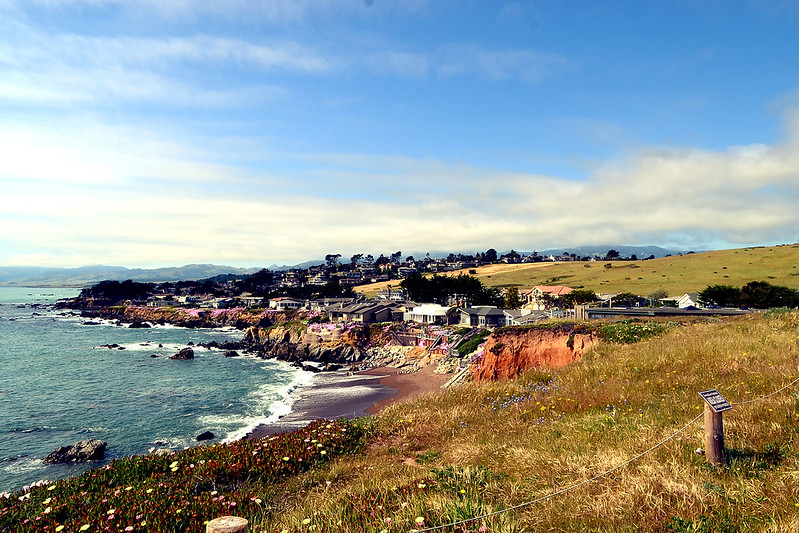Landscape Photo of North residential Cambria neighborhood from the Fiscalini Ranch Preserve