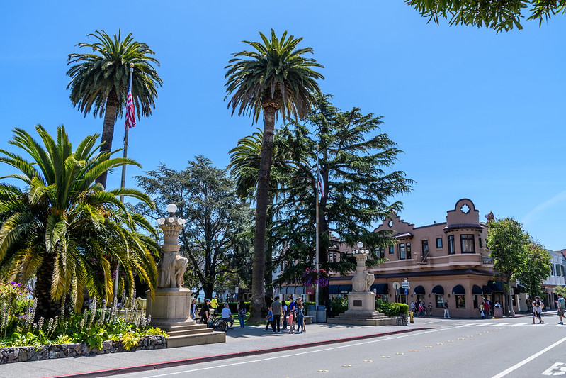 Street Photo of Sausalito with palm trees an people walking, clear sky in background