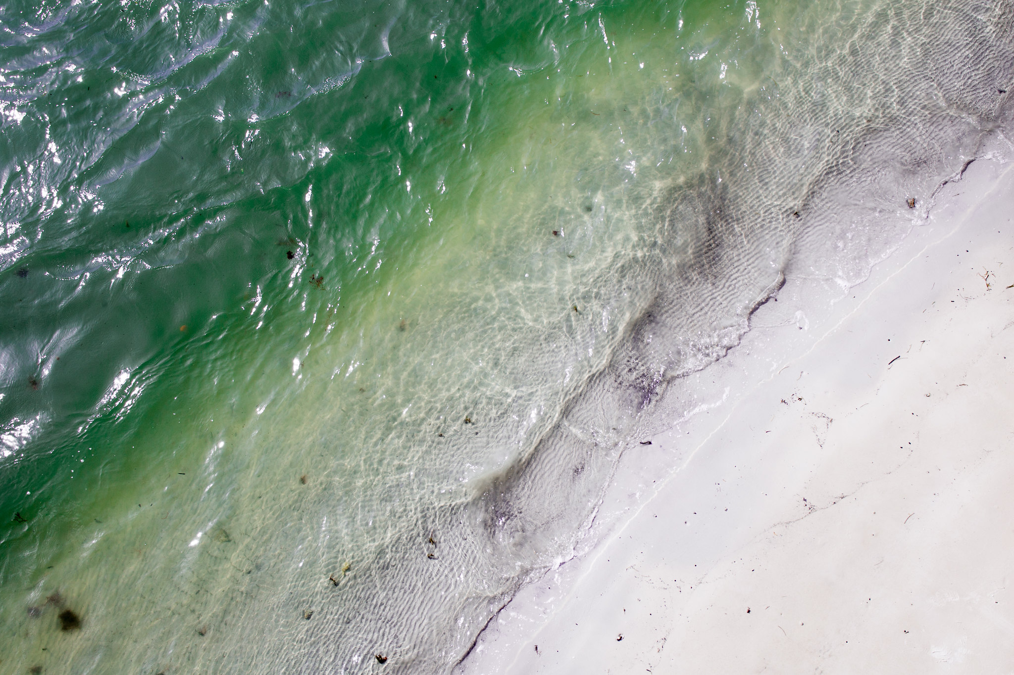 Crab Island Sandbar in Destin, Florida - 2019
