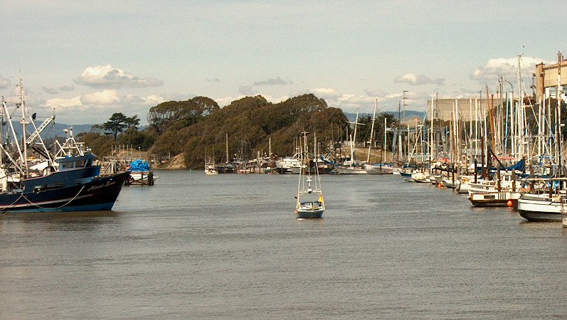 Landscape Photo of the Moss Landing harbor with cloudy sky in background