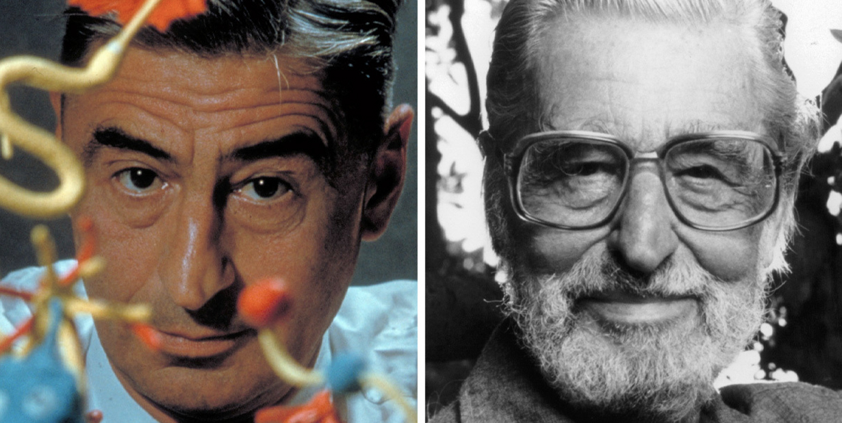 Dr. Seuss
