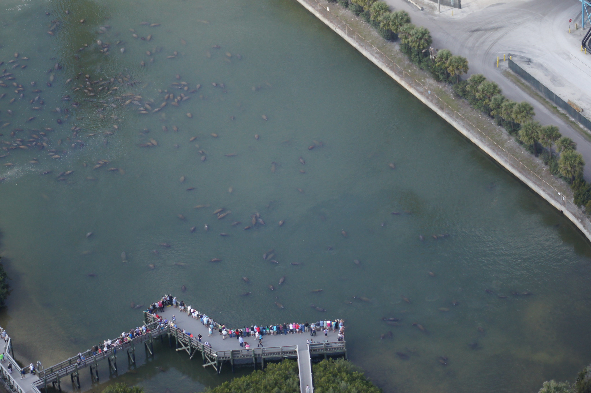 Tampa Electric Manatee Viewing Center