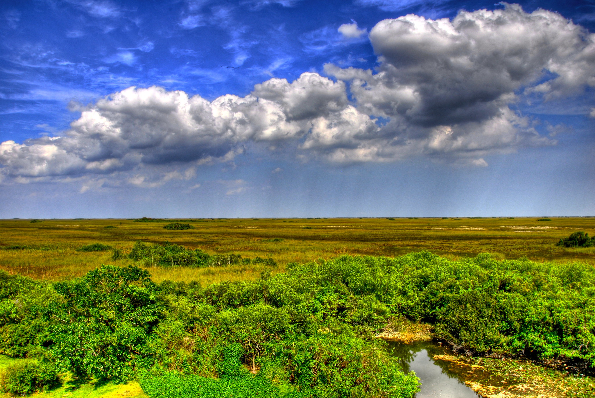 Everglades National Park, Florida