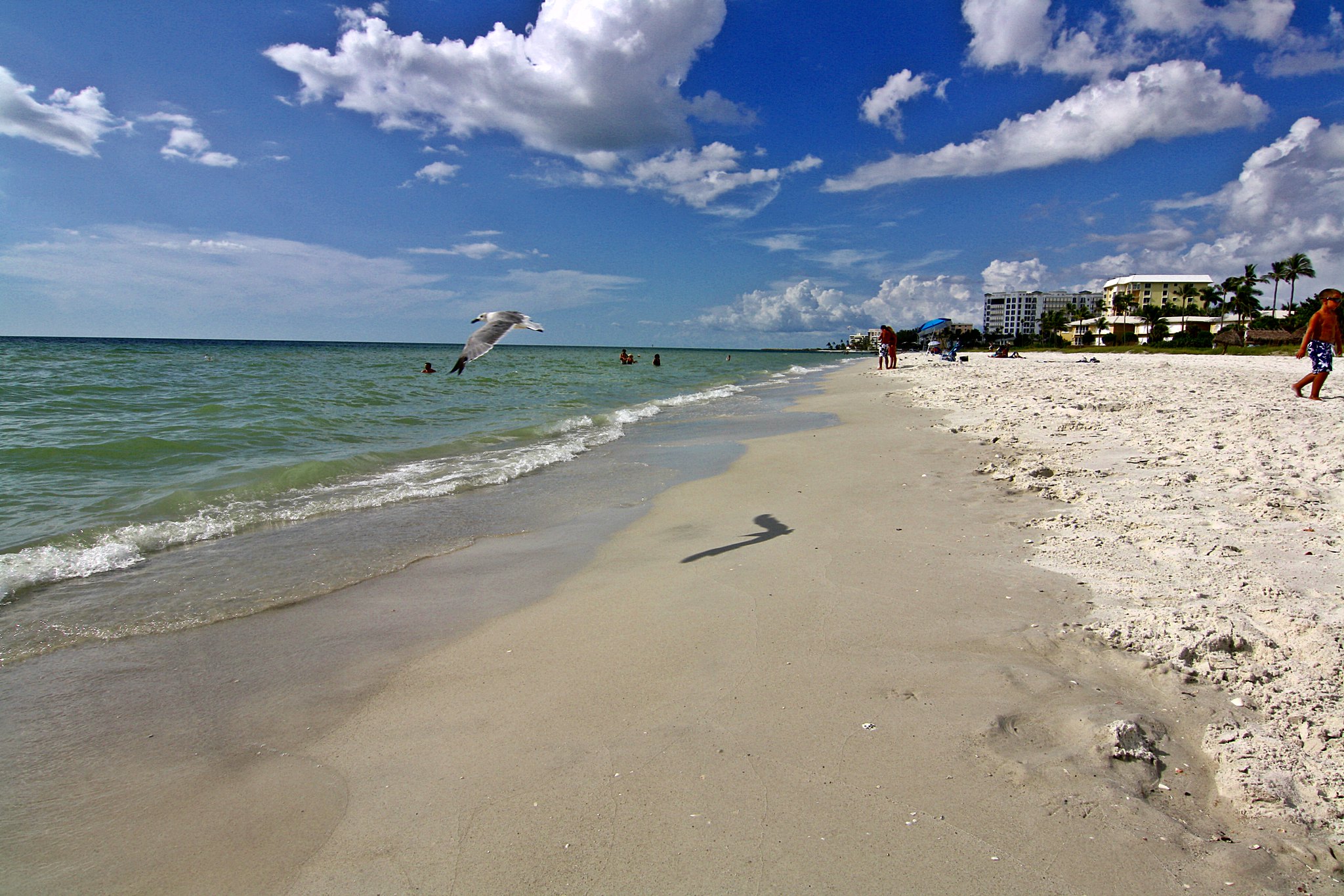 Beach in Florida