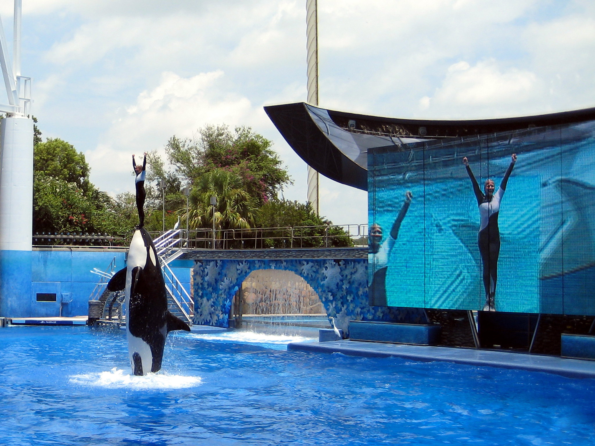 SeaWorld, Orlando, Florida, United States