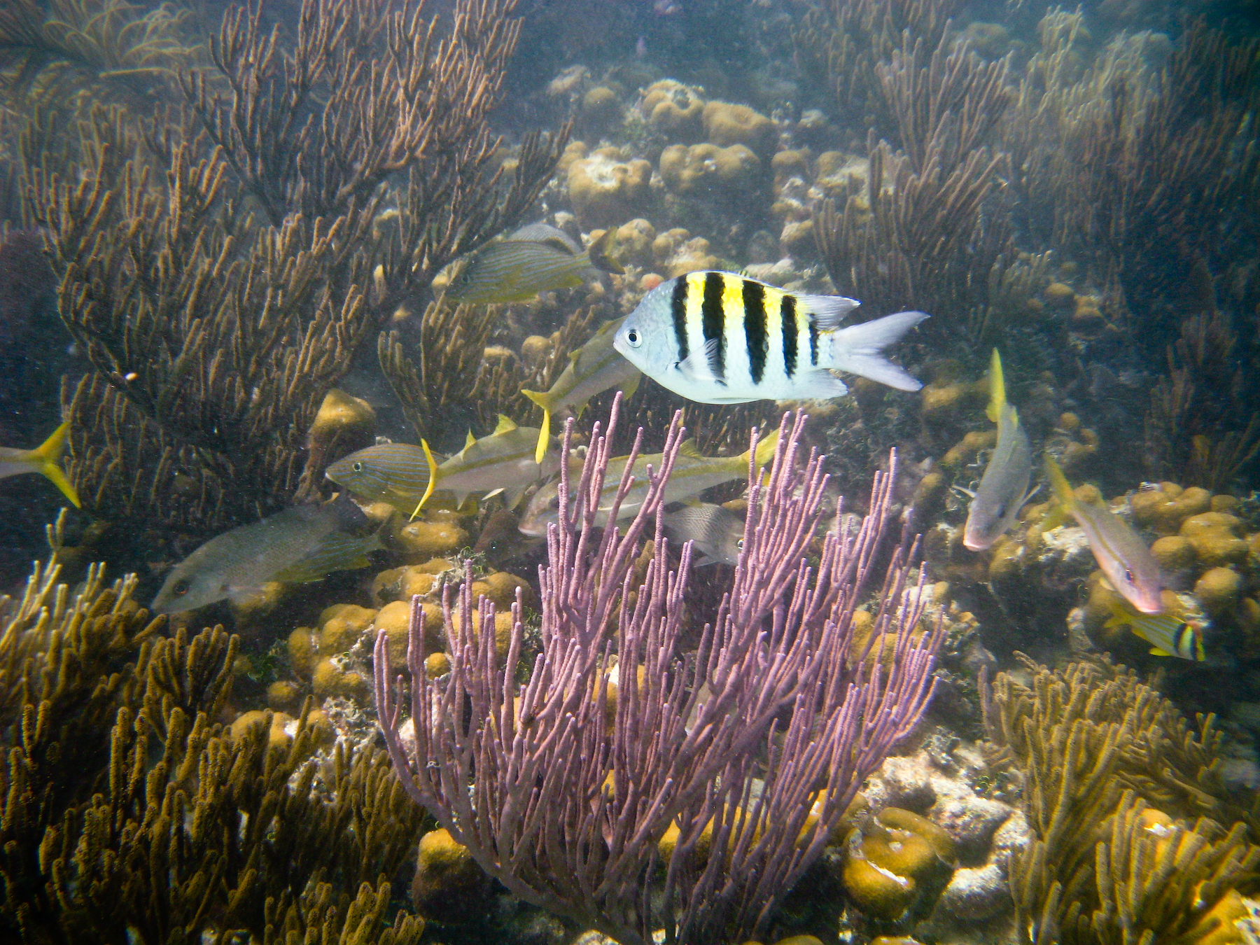 Dry Tortugas National Park Florida
