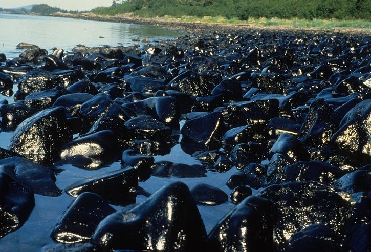 Oily tocks glisten in the sun - Green lsland after the Exxon Valdez oil spill