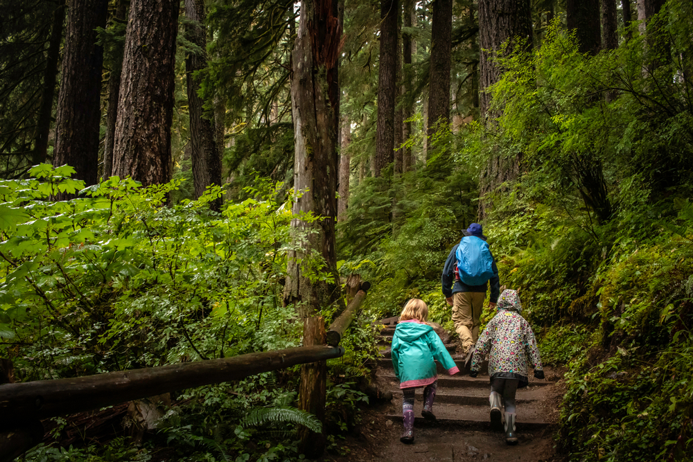 Hiking ib the Olympic National Park in the state of Washington