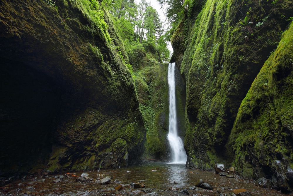 Lower falls in Oneonta Gorge. Columbia River Gorge, Oregon