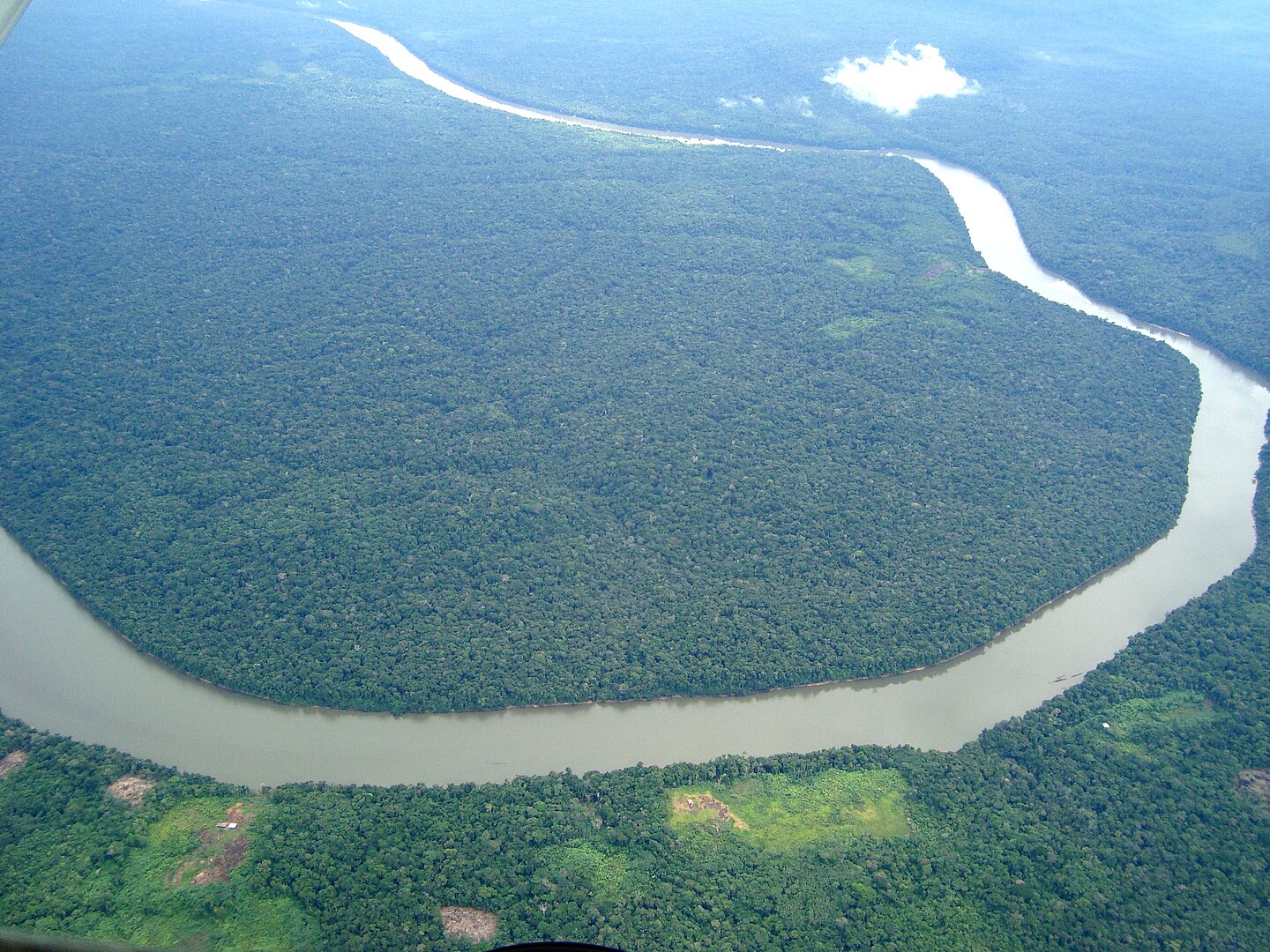 Amazon rainforest