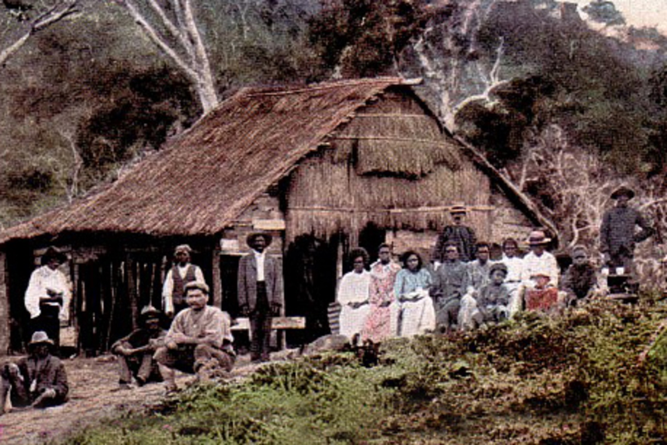 Hinchinbrook area of northern Queensland - early 1900s
