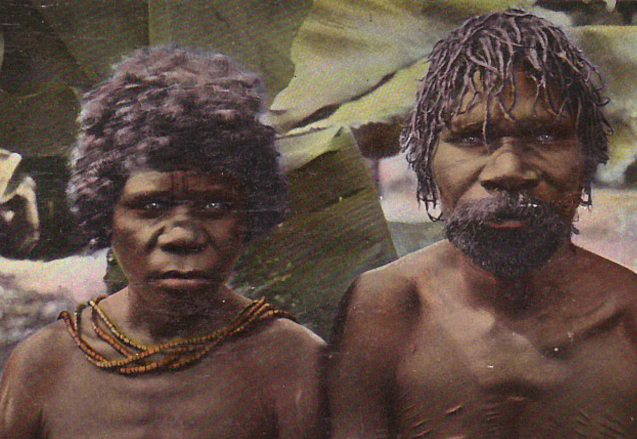 Hair dressed in Mourning, Aborigines, Nth Queensland - circa 1910