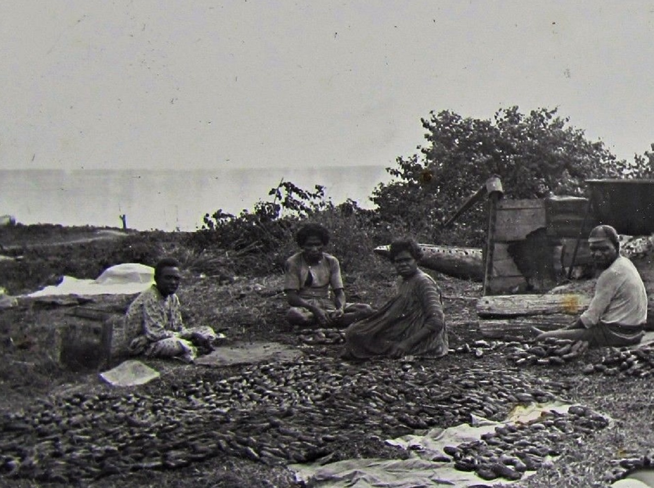 Australian aborigines in north Queensland - circa 1890s