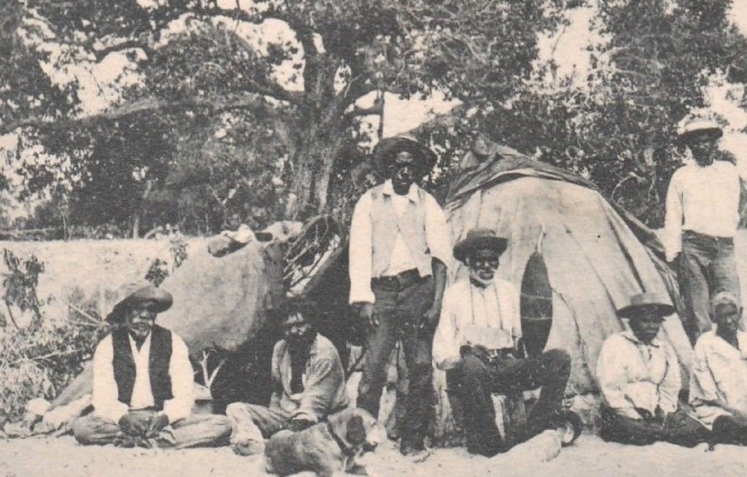 Aborigines from Townsville, Qld - circa 1905