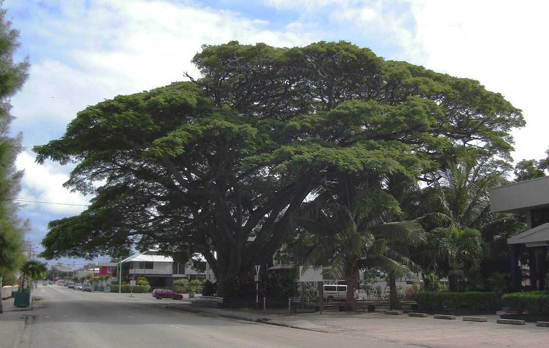 nukuʻalofa