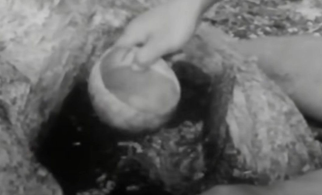 Six Tongan castaways