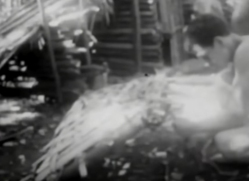 Six Tongan castaways