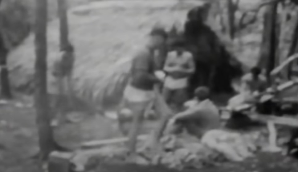 Six Tongan castaways