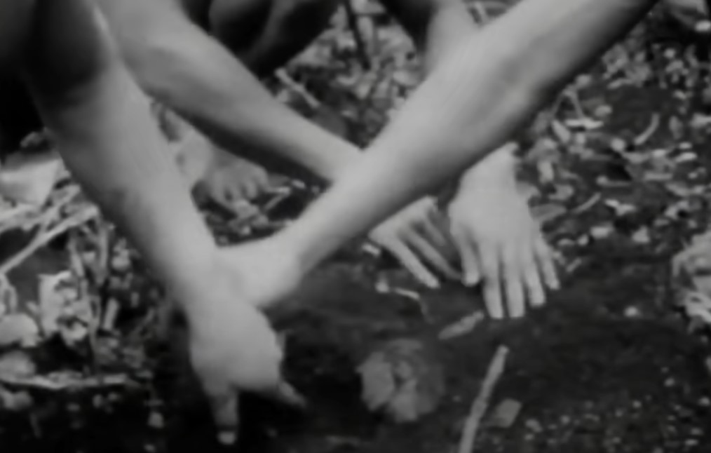 Six Tongan castaways making something 