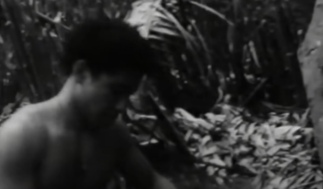 Six Tongan castaways