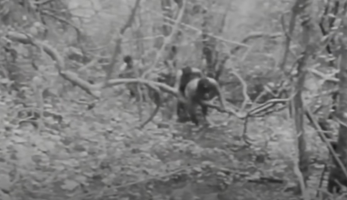 Six Tongan castaways