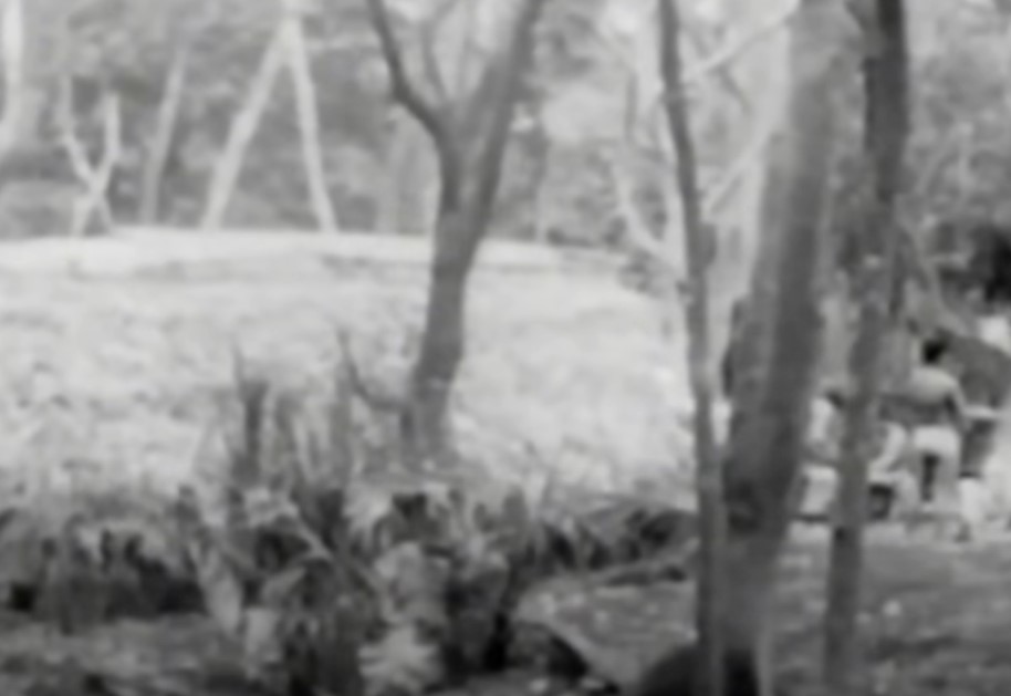 Six Tongan castaways