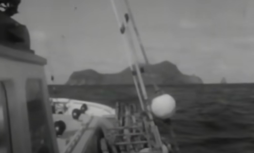 Six Tongan castaways, Ship that saved them 