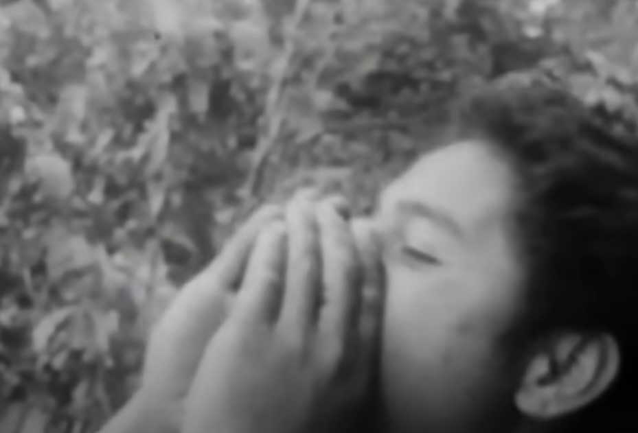 Six Tongan castaways