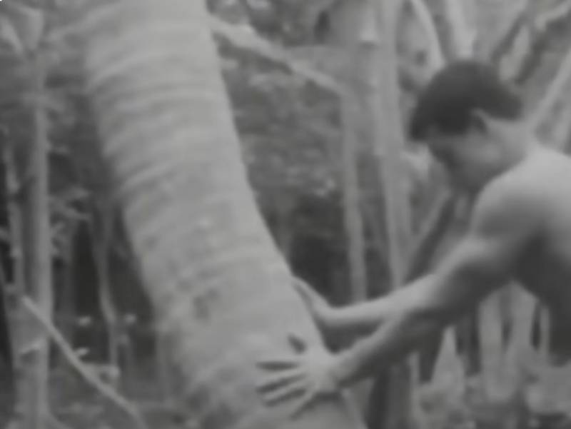 Six Tongan castaways