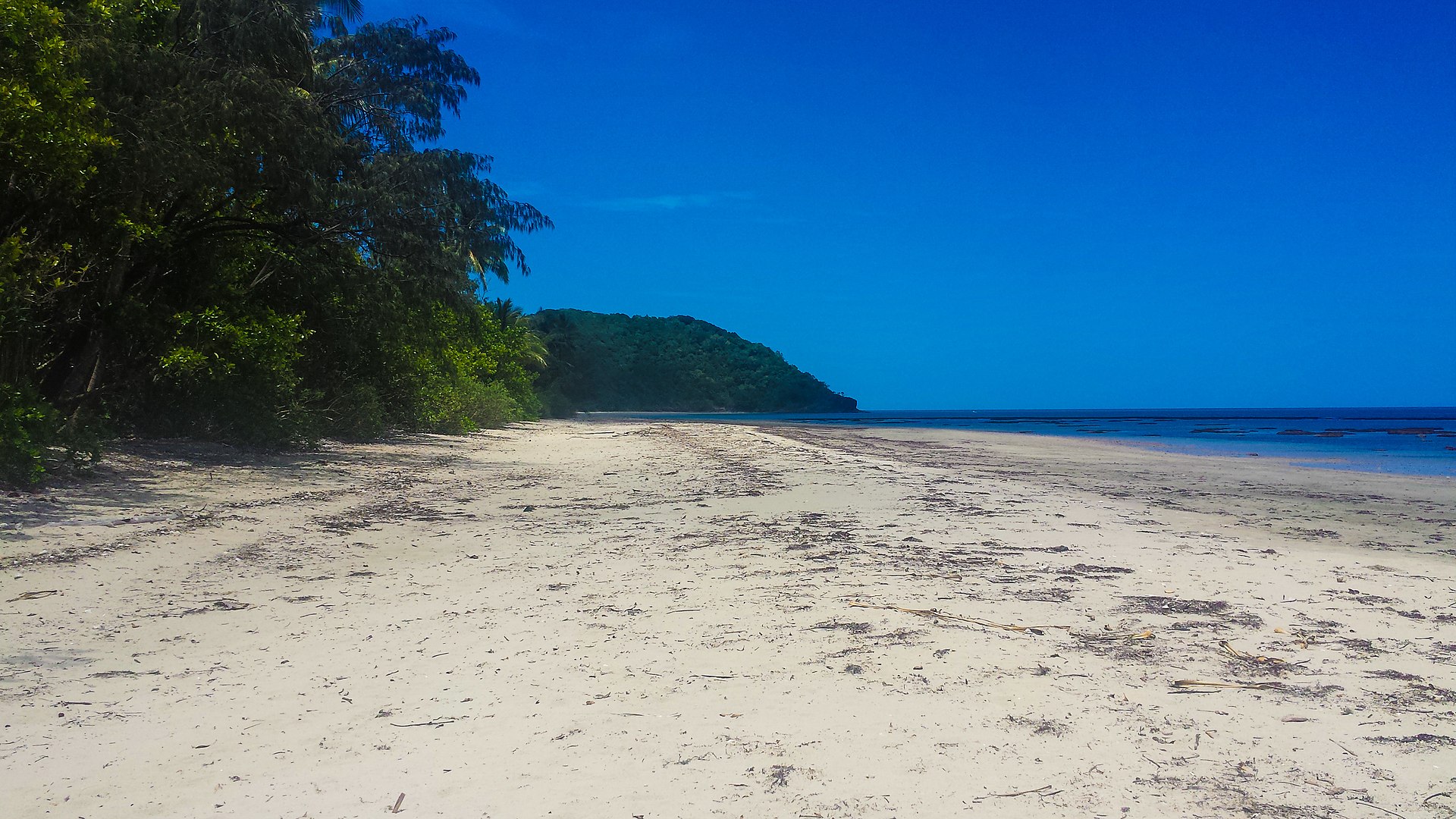Cape Tribulation from the South Beach