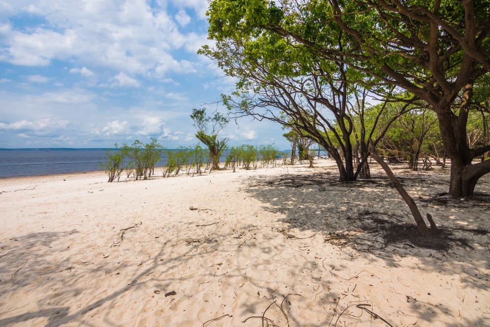 Amazon River Beaches, South America