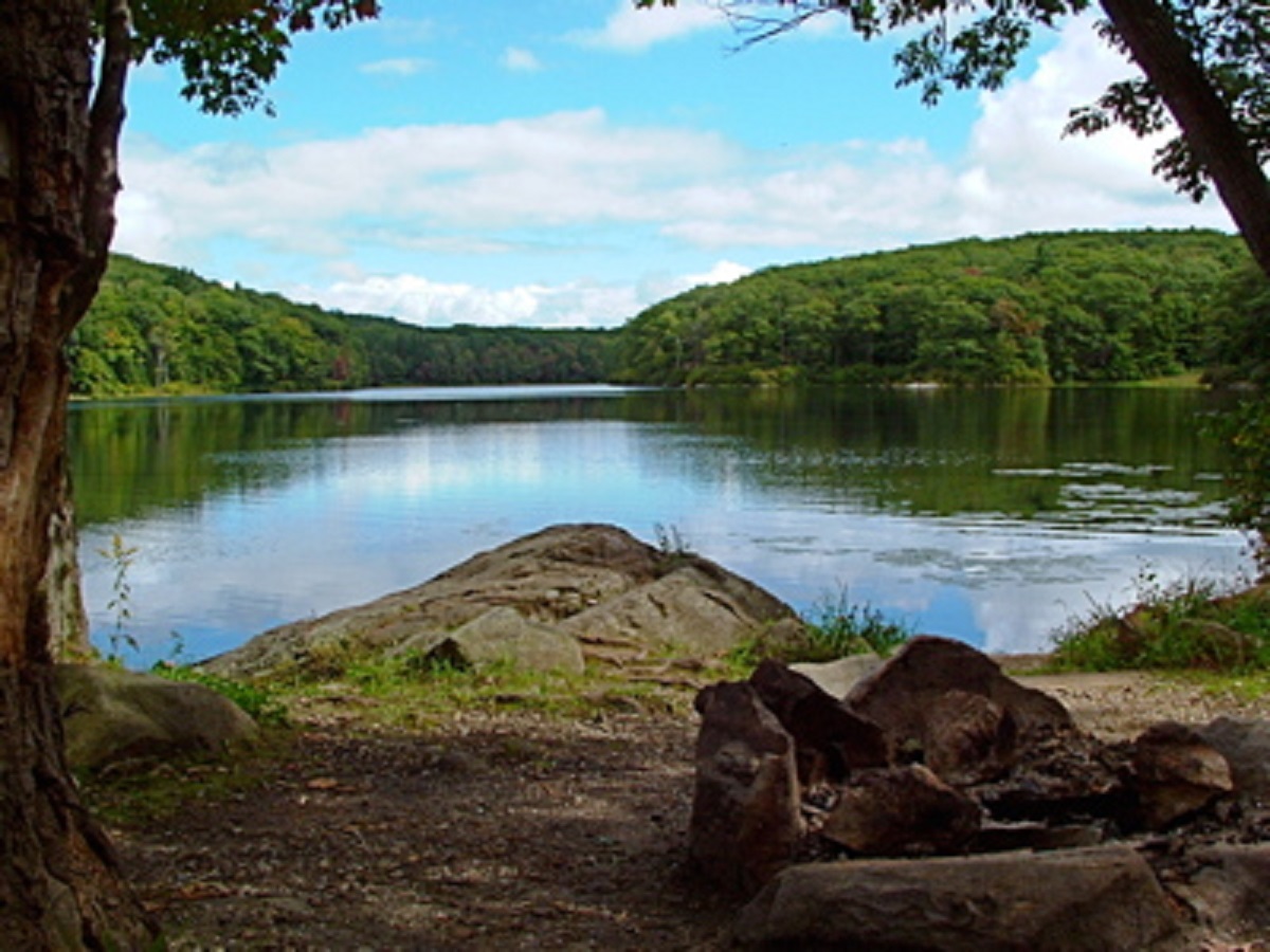 Benedict Pond, Beartown State Forest