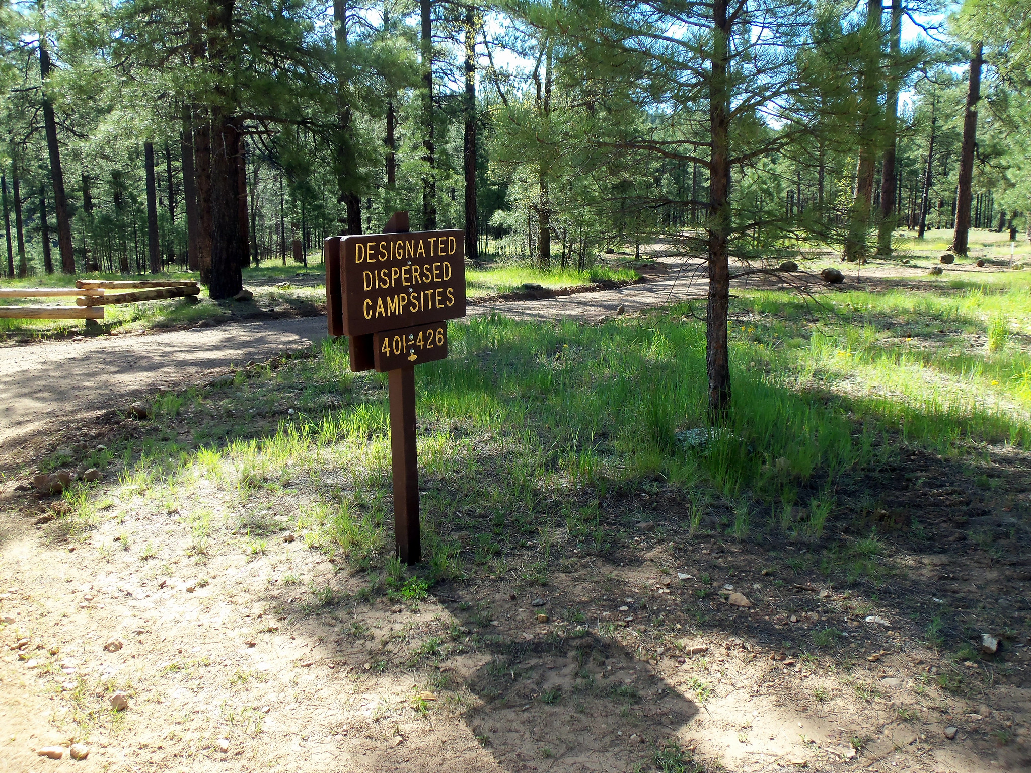 Pumphouse Wash (FR 237) Camping Loop 4 - 2015