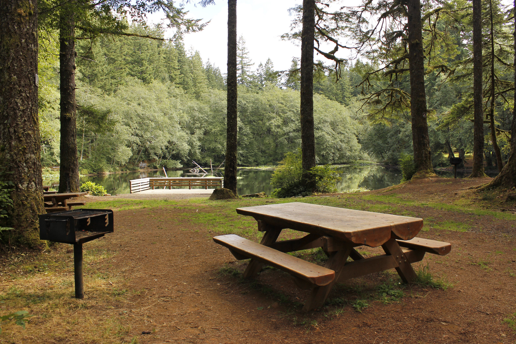 Hebo Lake Campground on the Siuslaw National Forest