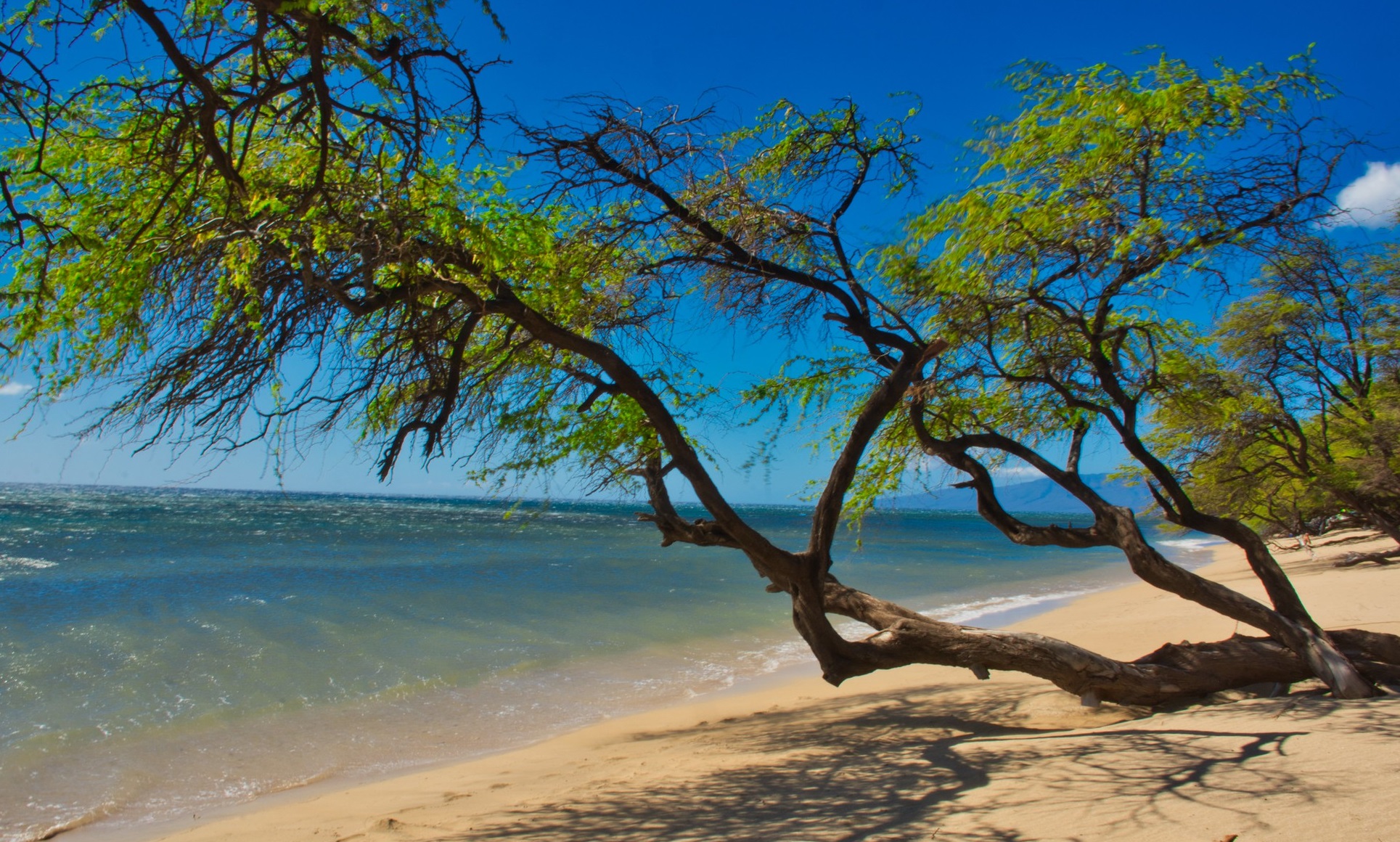 Papalaua Wayside Park - 2020