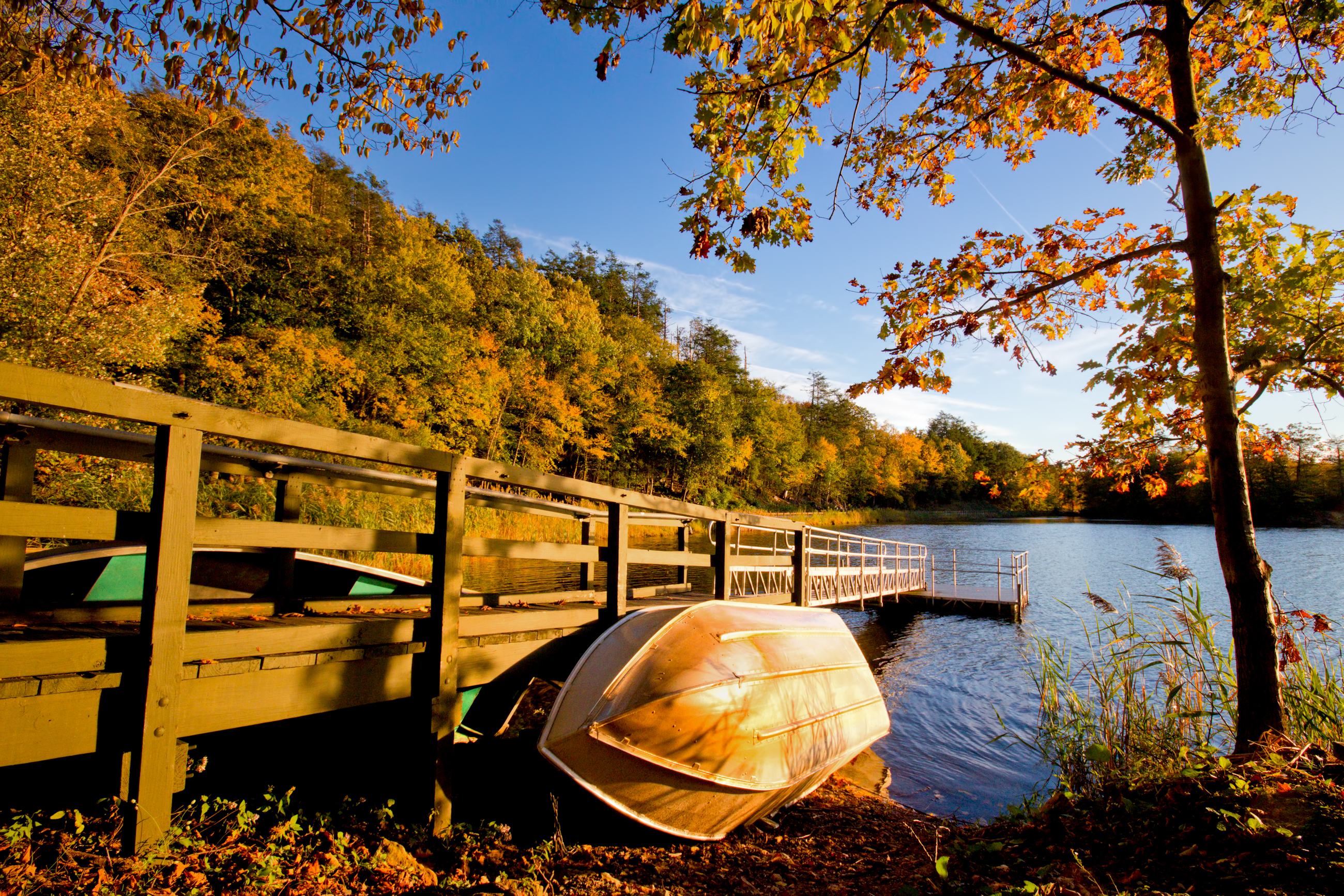 Row boat against wood dock in golden afternoon light
