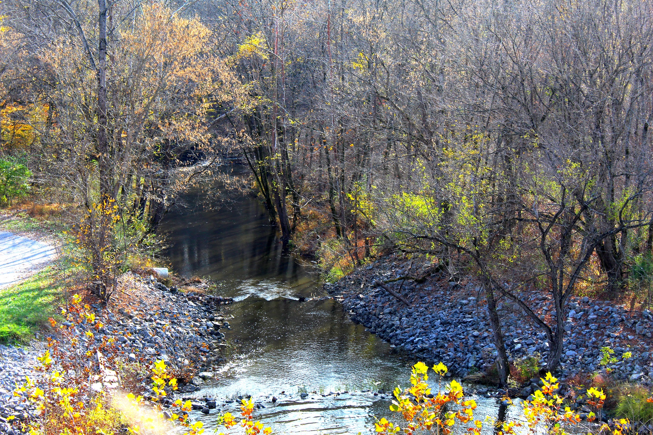 Beautiful Landscapes of the Shawnee National Forest and Dutchman Lake in Southern Illinois during the fall.