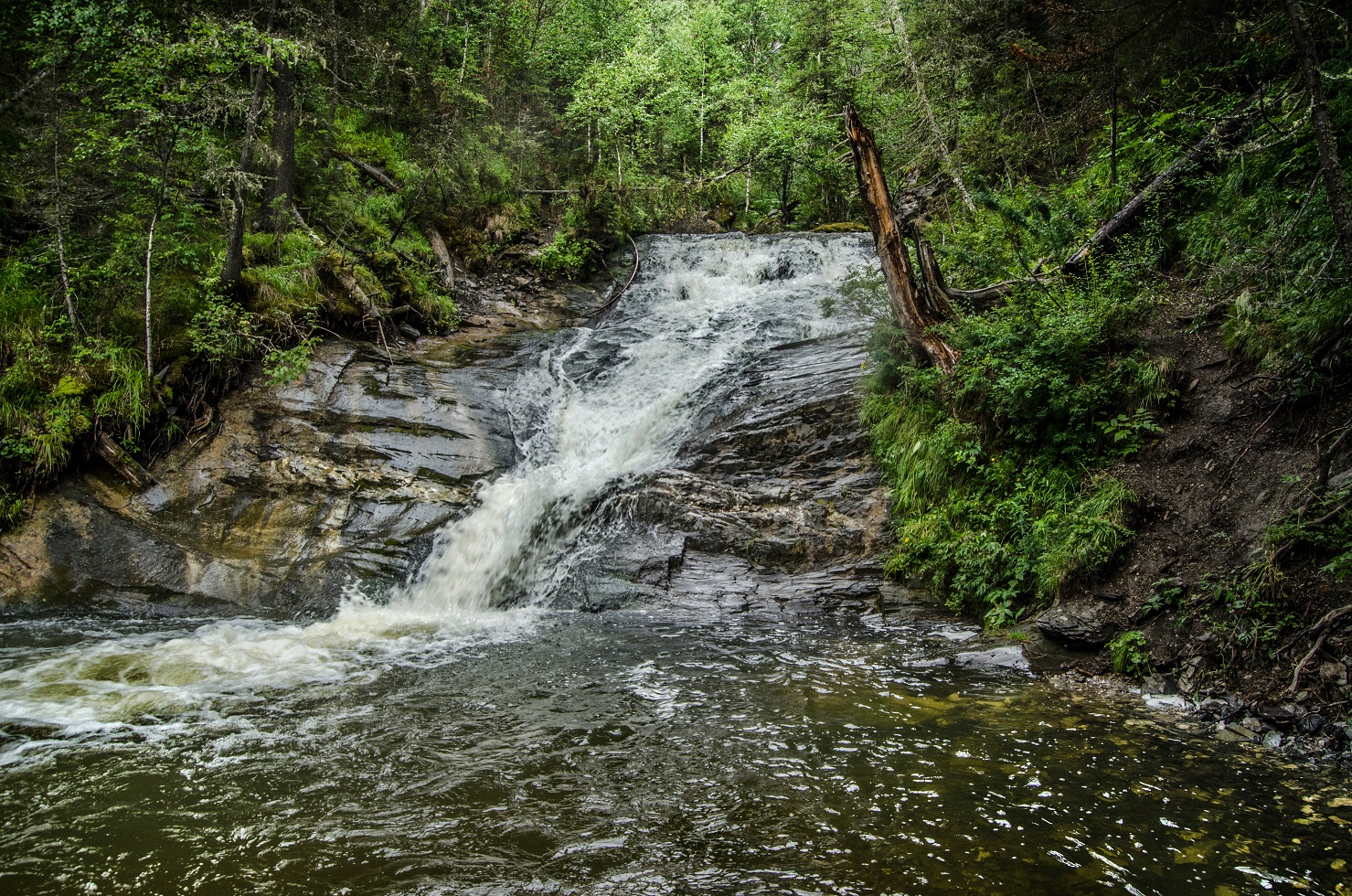 waterfall, mountain stream, with strongly and rapidly falling with splashes down, with rocks on a summer day.