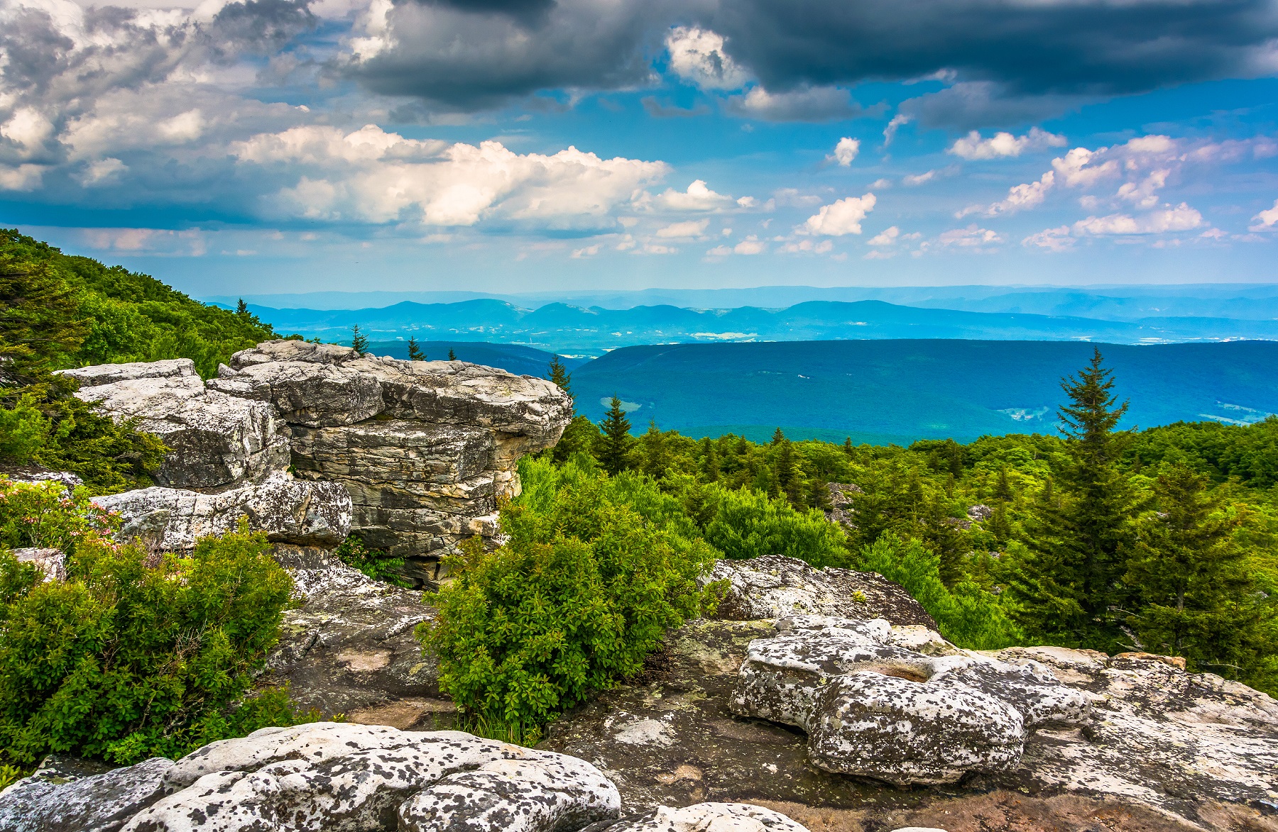 Boulders and eastern view of the Appalachian Mountains from Bear Rocks Preserve, Monongahela National Forest, West Virginia.
