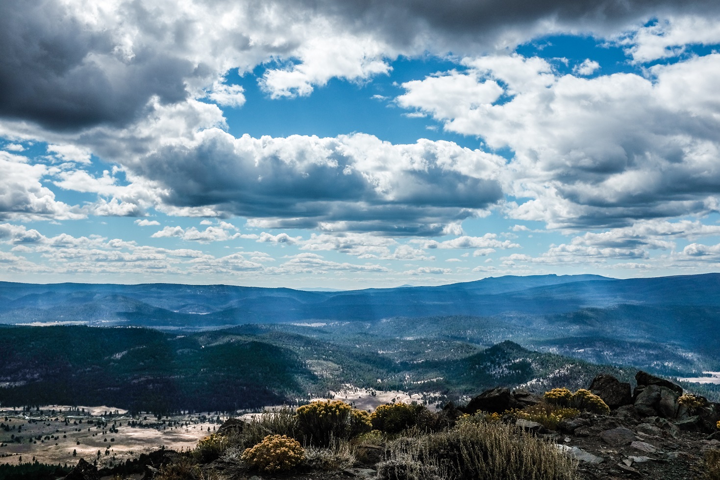 Fremont-Winema National Forest Landscape