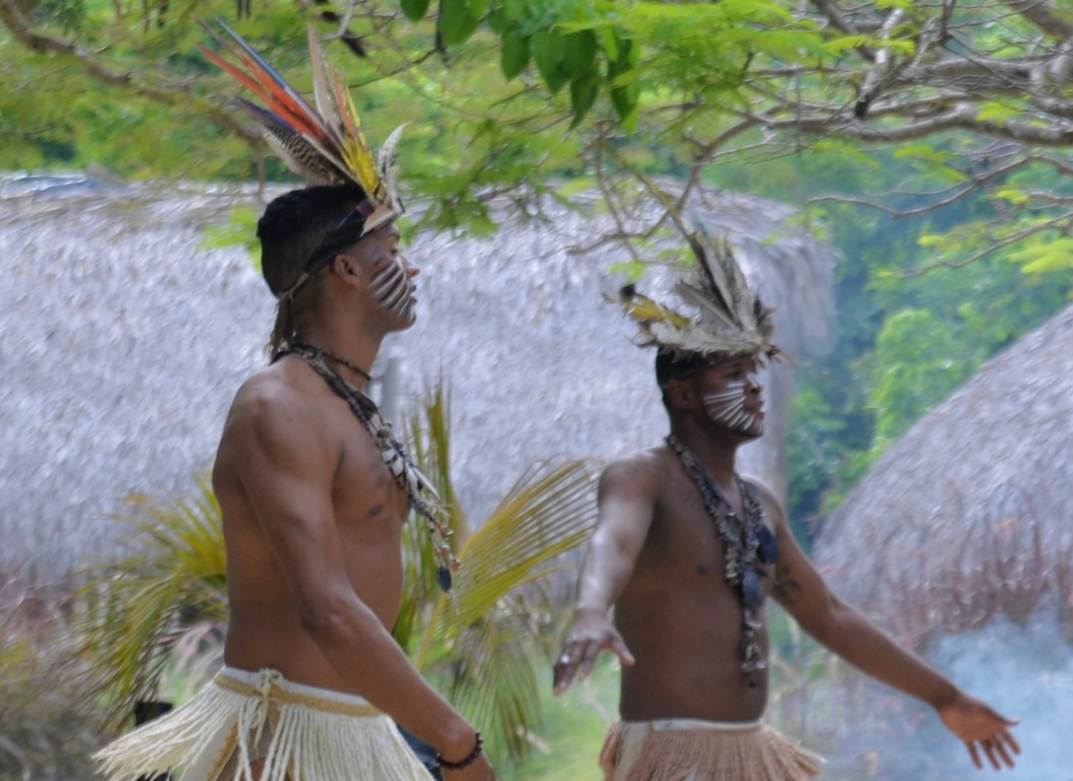 Traditional performance. Taino Indians - indigenous people of the Dominican Republic.