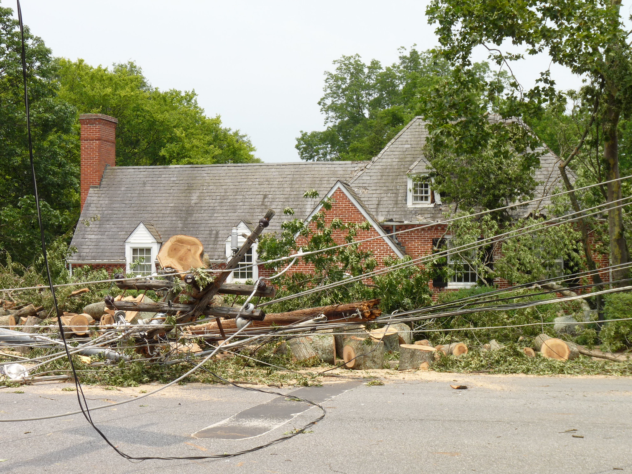 Virginia Derecho 2012