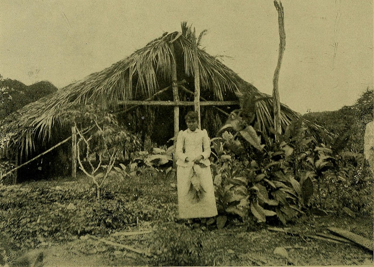 Puerto Rico And Its Resources (1899)