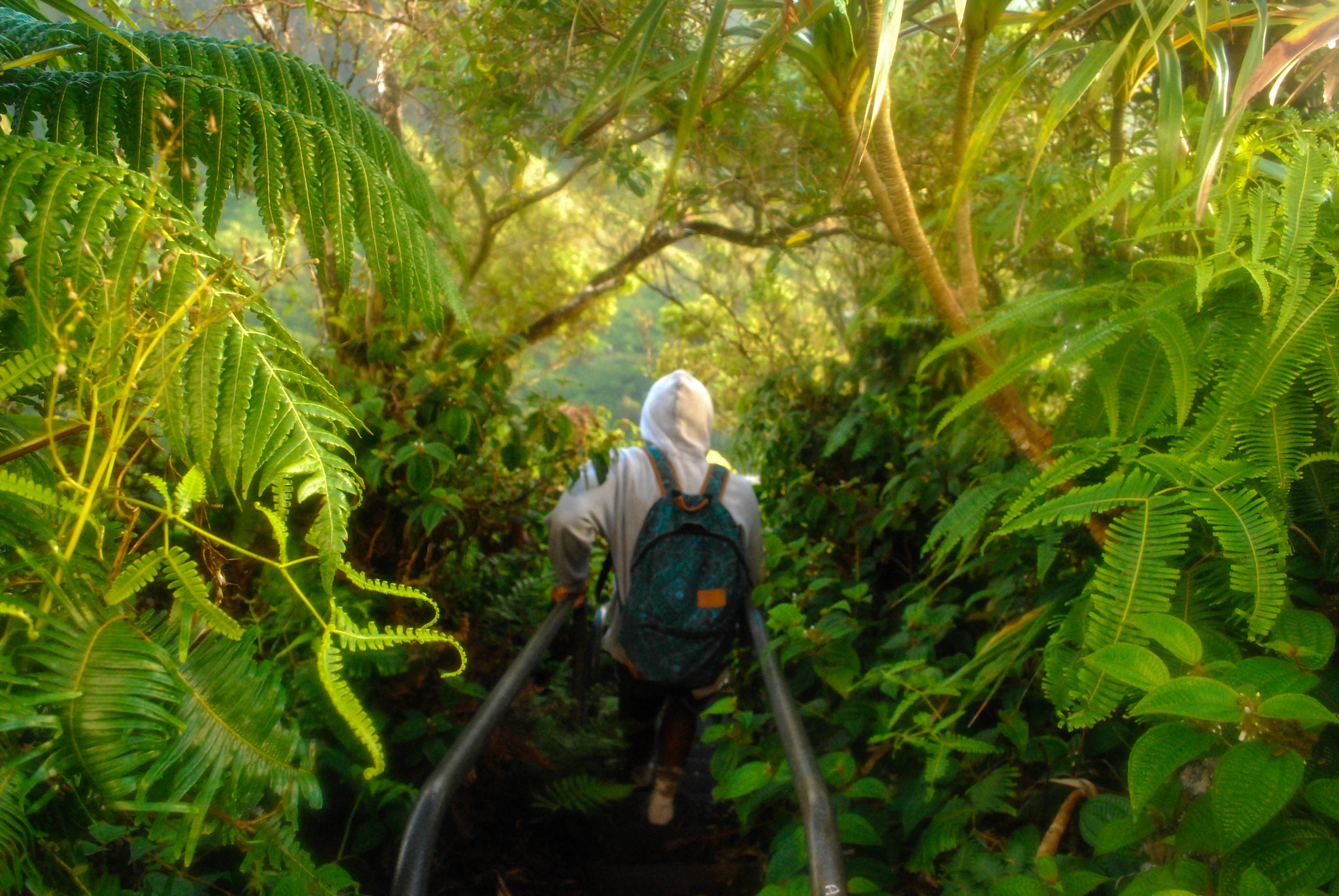 The Haiku Stairs - Hawai