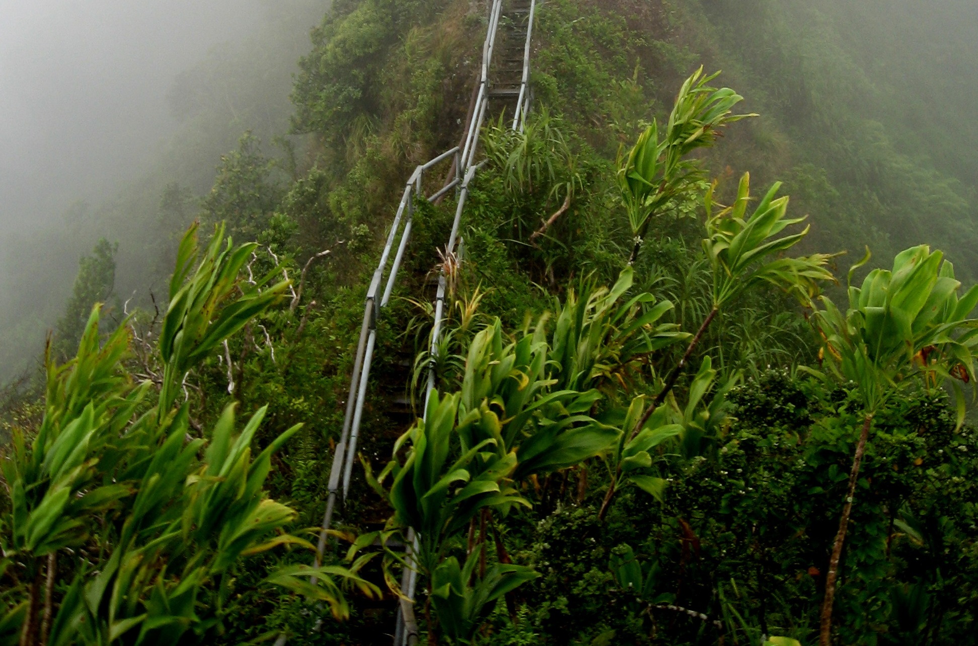 The Haiku Stairs - Hawai