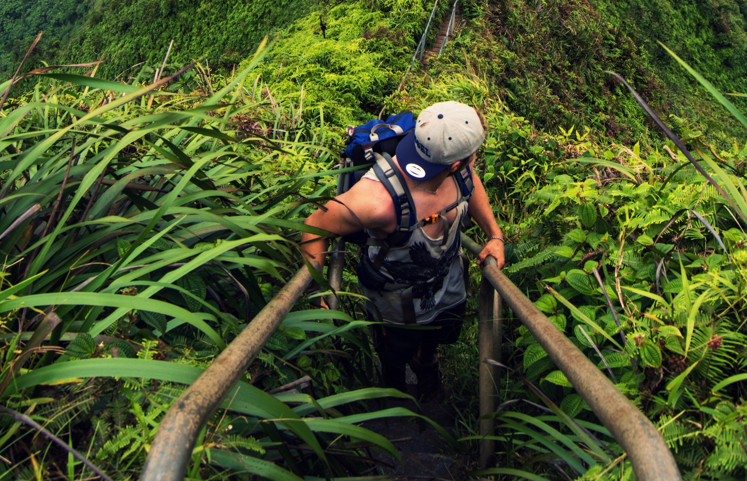 Fit man walking on Stairway to heaven in Hawaii, Haiku Stairs Trail