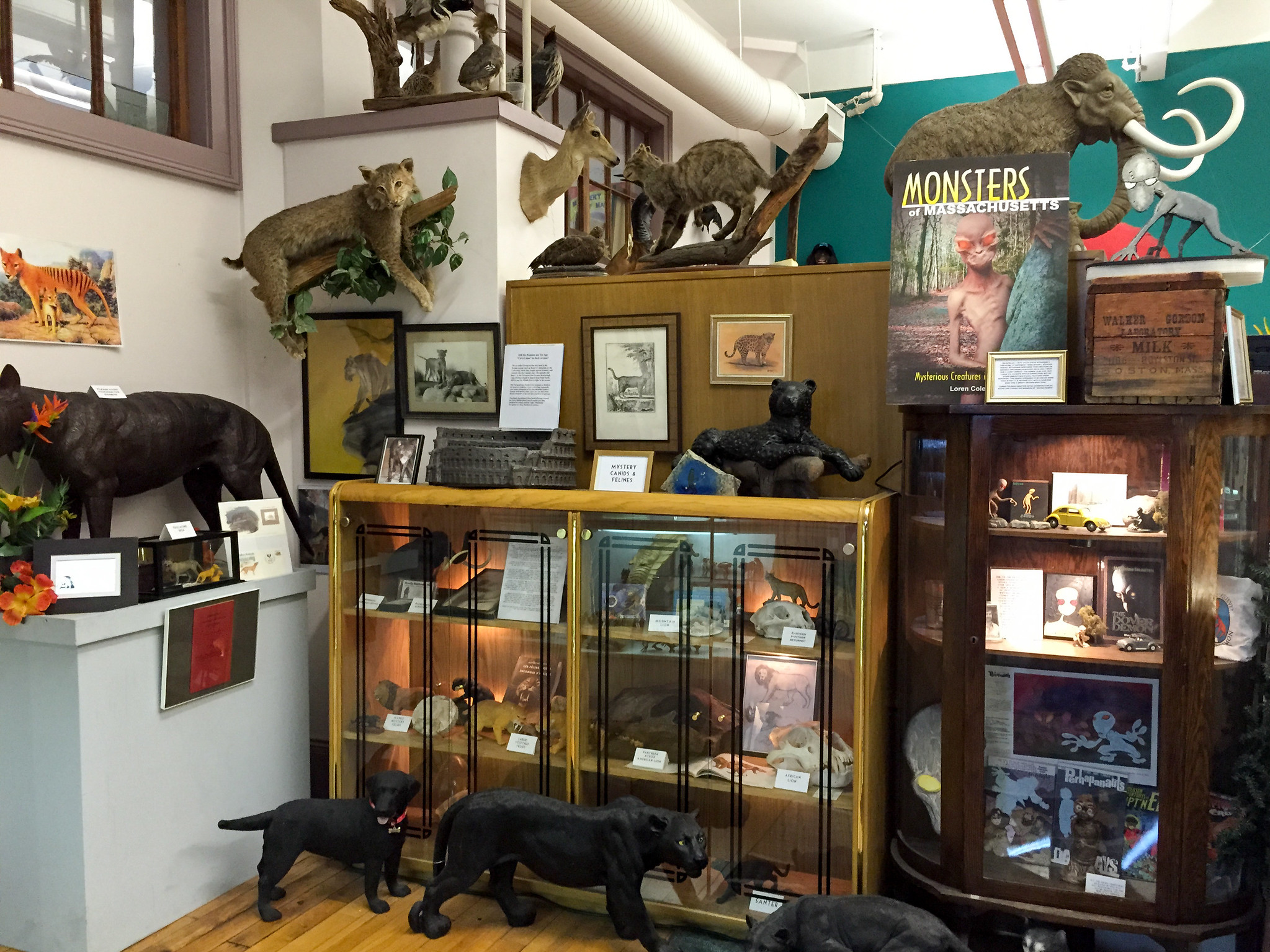 International Cryptozoology Museum - 2014