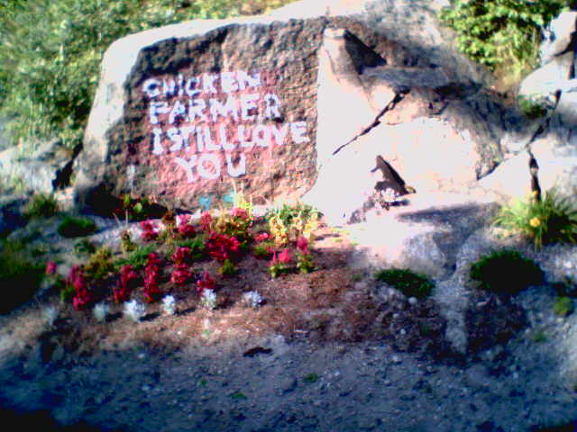 CHICKEN FARMER I STILL LOVE YOU - rock (2005)