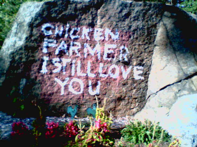 CHICKEN FARMER I STILL LOVE YOU - rock (2005)