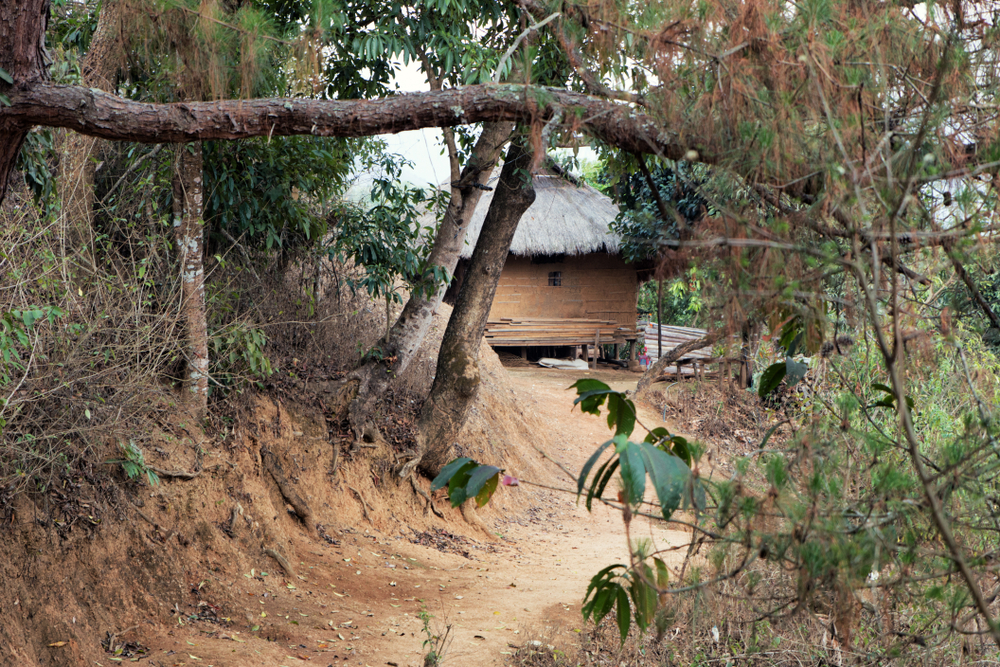 indigenous traditional tribal house